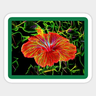 Orange Hibiscus Sticker